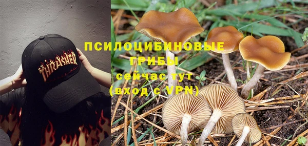 кокаин Богданович