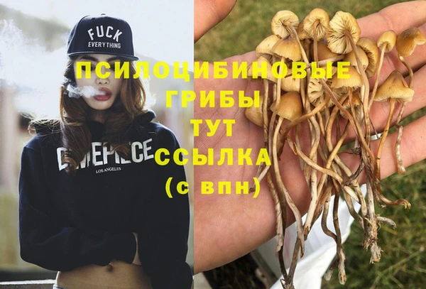 кокаин Богданович