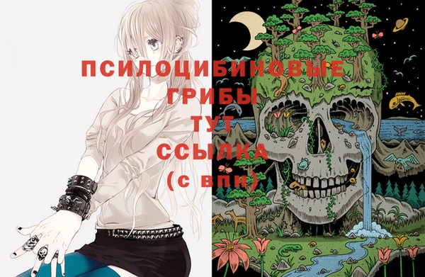 кокаин перу Богородицк